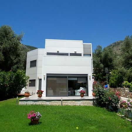 Villa Nicolas Plataria Extérieur photo